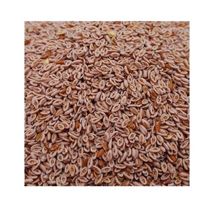 เมล็ดไซเลียมฮัสก์ธรรมชาติคุณภาพสูงสำหรับขายในราคาที่ดีที่สุด - Product Image 4