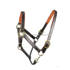 Cuir classique à haute finition, Durable, cheval, licou, vache, rembourrage doux cousu avec des anneaux de boucle réglables chromés ou en laiton - Product Image 5