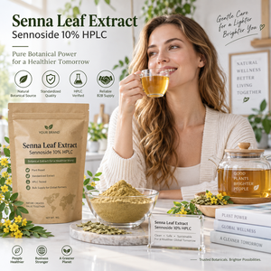 Estratto in Polvere di Foglie di Senna LongBio, Sennoside 10% HPLC, Estratto di Foglie di Cassia Acutifolia per Integratori in Capsule OEM - Product Image 2