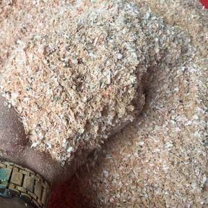 PREMIUM SHRIMP SHELL <b>POWDER</b> NATURAL SEAFOOD BYPRODUCT <b>BULK</b> WHOLESALE EXPORT SUPPLY HOT DEAL TOP SALES BEST OFFER PROMOTION - Product Image 2