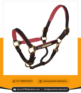 Prêt à expédier licou de cheval rembourré en cuir véritable licou en cuir rembourré avec plaque signalétique portable - Product Image 4