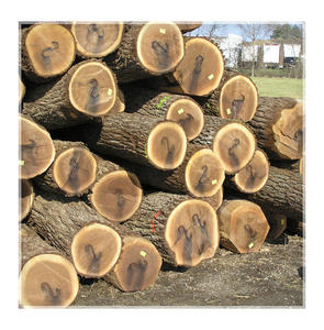 Troncos de Nogal Negro Americano Directamente de Fábrica, Certificados por FSC, Provenientes de Bosques de Ohio y Missouri, para una Extracción Sostenible Global - Product Image 3