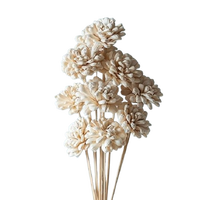 Sola Wood Flower diffuseur de roseau Parfum d'ambiance Fait à la main Sola Flower Echo Friendly Sola Flower Natural to aérer Freshen Reed