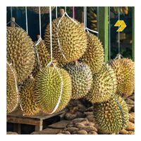 Bevroren Hele Ri6 Durian Verse Durian Pulp Premium Monthong Durian Vlees Voor Export Uit Vietnam Met Hoge Kwaliteit