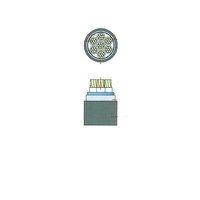 Le câble de commande examiné par cuivre de LiOA DVV/Sc-30xC-0.6/1kV 30 noyaux a protégé la diverse zone nominale noire résistante à la chaleur de conducteur