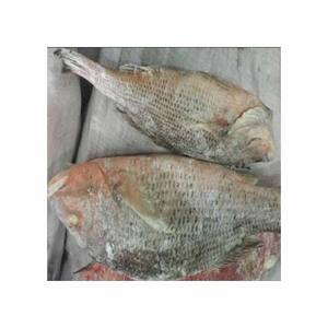 Poisson Chame frais idéal pour les plats de fruits de mer disponibles à des prix abordables - Product Image 6