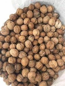 Núcleo de Nuez Crudo Seco al Por Mayor a Precio de Fábrica, Grado Superior - Product Image 3