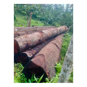 Affordable merbau <b>logs</b> supplied in bulk with reliable worldwide delivery - Product Image 1