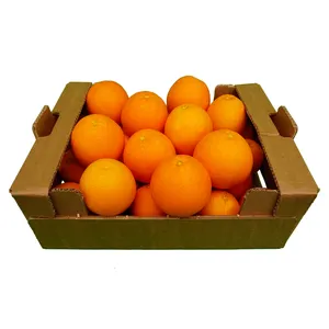 Beste Qualität Großhandel Iqf Tiefkühlobst Mandarin orangen