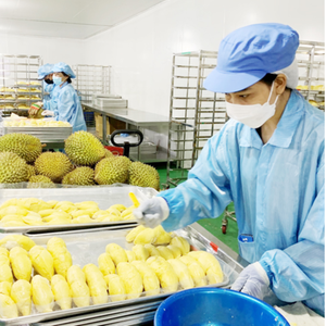 SEGMENTS DE DURIAN CONGELÉS SANS GRAINES DE HAUTE QUALITÉ PRÊTS À MANGER OU À TRAITER - Product Image 2