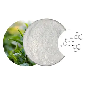 Wholesale Price Food Grade Green Tea Extract 95% EGCG Powder Suitable For Food and Healthcare Application