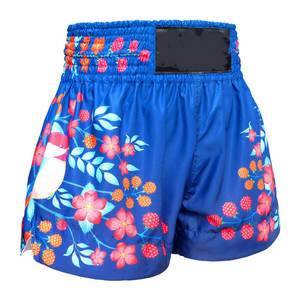 Pantalones cortos MMA ligeros, logotipo personalizado, ropa de artes marciales elástica Premium, tarifas baratas de fábrica para boxeo - Product Image 4