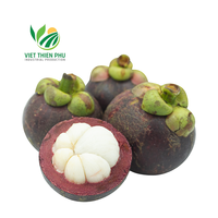 Vietnam Verse Mangosteen/Hoogwaardig Standaardfruit