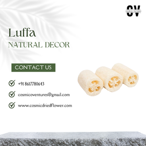 Fleur séchée de Luffa artificielle de haute qualité pour la décoration intérieure désherbage décoration d'anniversaire - Product Image 6