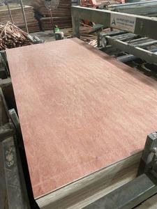 Muebles de madera contrachapada Bintangor de Vietnam Factory Grado 1220x2440mm para hoteles Almacenes en México Colombia Perú-HCPLOY LUCYPLYWOOD - Product Image 5