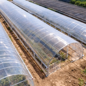 250 Micron UV Stabilized Blow Molding Greenhouse Plastic <strong>Film</strong> for Agricultural Greenhouse Covering and Outdoor Use - Product Image 2