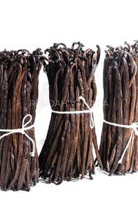 ฝักวานิลลาพลานิโฟเลีย - เกรด 3 - 12-13.9 ซม. คุณภาพดีที่สุด แบบเบอร์เบิน สำหรับสกัด ขายดี ราคาดีที่สุดจากอินโดนีเซีย - Product Image 3