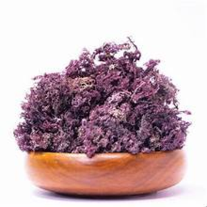 Sea Moss-Suplemento alimenticio nutritivo para la vida moderna. - Product Image 1