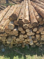 Fábrica de Vietnam, venta al por mayor, estacas de madera artesanales DIY para construcción y valla de granja, poste de madera, materiales de mampostería de alta calidad