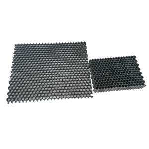 Persediaan pelat sarang lebah plastik PP karbon aktif papan inti sarang lebah 10mm <span class=keywords><strong>Filter</strong></span> ketebalan untuk pemurni udara/Freezer - Product Image 6