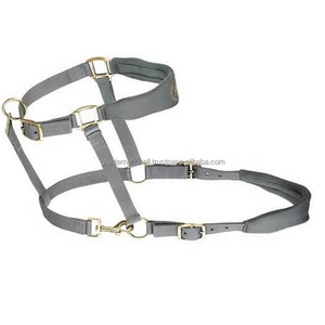 Lightweight Waterproof Premium Nylon Webbing Soft <b>Padded</b> Nylon Horse Halter Custom Design Adjustable Horse Racing Halter - Product Image 5