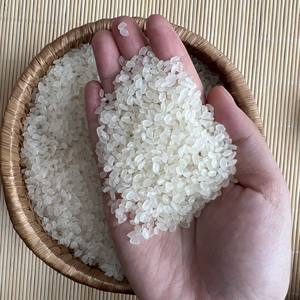 ข้าวบาสมาติกสีขาวขนาดกลางข้าวบาสมาติกแตก3% เนื้อนุ่มดั้งเดิมจากเวียดนามข้าวญี่ปุ่นแบบแห้งสำหรับอาหาร - Product Image 2