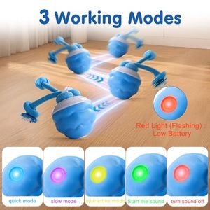 Giocattolo giocattolo interattivo intelligente per cani con funzione di movimento ricaricabile con <span class=keywords><strong>suono</strong></span> e luce a LED - Product Image 6