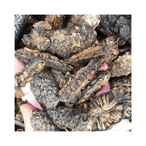 Best <b>Quality</b> Dried Noni Fruit 100% Natural Originated From Vietnam with Competitive Price and High <b>Quality</b> - Product Image 3