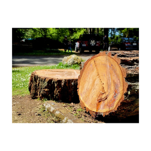 High Quality <b>Kiln</b>-Dried Firewood Logs Mixed Oak and Beech Phase Change Material Energy-Related Products <b>for</b> <b>Sale</b> - Product Image 4