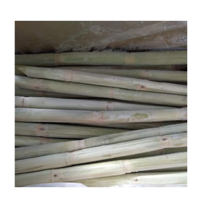 ส่งออกอ้อยแช่แข็งจากผู้จำหน่ายที่เชื่อถือได้ปอกเปลือกหรือไม่ปอกเปลือกเก็บในระยะยาวอร่อยและสะดวกสำหรับการคั้นน้ำ - Product Image 2