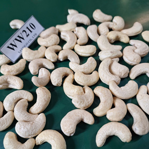 WW210มะม่วงหิมพานต์คาจูถั่วซานติโกและถั่วแห้งส่งออกไปยังตะวันออกกลาง - Product Image 1