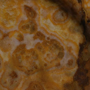 Plaque d'onyx octogonale polie, plaque de marbre d'onyx véritable, plaque de pierre d'onyx brun - Product Image 5