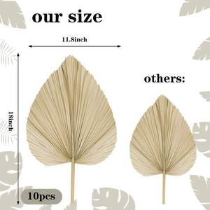 Decoración del Hogar, Decoración de Bodas, Jarrón, Arreglos Secos Bohemios, Ramo de Palmeras Tropicales Naturales, Abanicos de Hojas de Palma con Tallo - Product Image 4