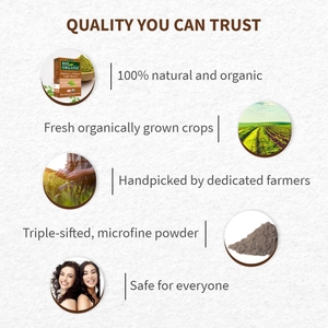 OEM Venta al por mayor Henna Color de pelo Halal certificado Tinte para el cabello Natural Henna Coloring Cream Powder No Alérgico PPD Sin amoníaco Tinte - Product Image 4