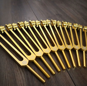 ชุดสเกลโครมาติกสำหรับเสียงพีเฟคฟิฟธ์ 13 ชิ้น - ปรับเสียงอย่างมืออาชีพ .25 เฮิรตซ์, ไม่มีน้ำหนักถ่วง... - Product Image 6