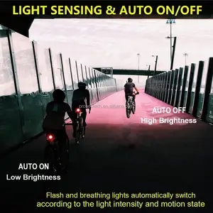 Lampu belakang sepeda isi ulang daya USB, lampu ekor sepeda Led otomatis dengan Alarm keselamatan, lampu LED berkedip sepeda jalan tahan air