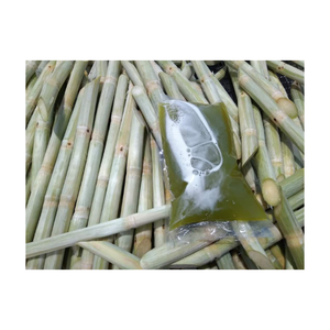 Varillas de caña de azúcar recién peladas congeladas para exportación de Vietnam empacadas para uso global en la fabricación de alimentos, bebidas y catering - Product Image 2