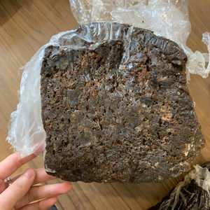 ยาง SVR 20ราคาไม่แพงจากเวียดนาม-แหล่งที่เชื่อถือได้สำหรับผู้นำเข้าทั่วโลก - Product Image 1