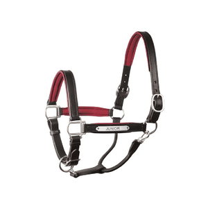 Qualité supérieure indienne personnaliser licou de cheval personnalisé licou en cuir rembourré avec plaque signalétique léger - Product Image 1