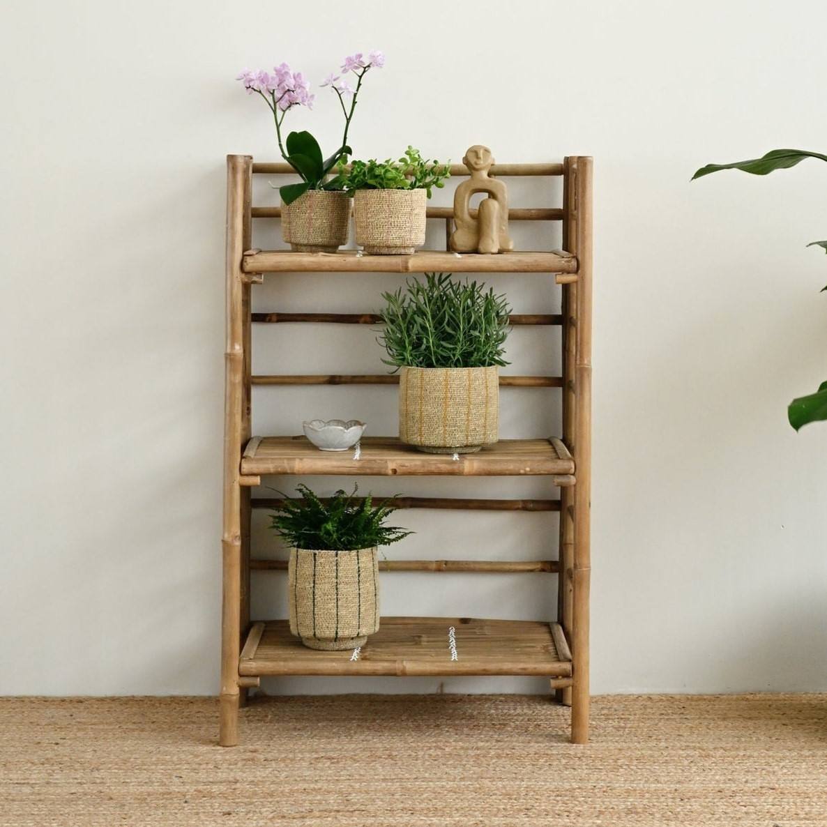 ธรรมชาติ