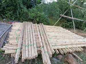 Postes de bambú tratado para paneles de pared interior y decoración exterior, producto natural sostenible de Vietnam - Product Image 3