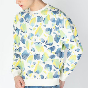 Venta en línea de color personalizado ropa de calle hombres sudadera algodón mezclado liso puro color de marca hombres sudadera con estampado tropical - Product Image 4