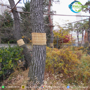 Top Product SEDGE MAT / Palm Mat Prevent Wind Uprooting of Plants With High-Quality Sedge Mats - Product Image 6