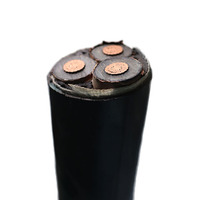 Câble d'alimentation extérieur en cuivre gainé YJV NYY 2 3 4 5 conducteurs 4 6 10 16 mm²