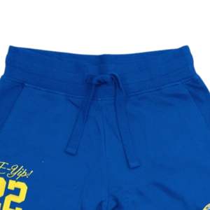 Sigma Gamma Rho SGRho Pantalon de jogging à sequins bleu royal 100 coton brodé crête paillettes lettres grecques vêtements de sororité - Product Image 5