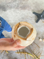 Vietnamese tropische verfrissingsdrank, geëxporteerde verse jonge kokosvlees-sap, 60 dagen houdbaarheid, directe levering, TECHMIFOOD Ben Tre Vietnam