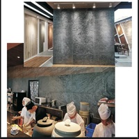 Revêtement mural extérieur translucide en pierre naturelle flexible – Durable, certifié CE/ISO9001, garantie 5 ans, longueur maximale 280 cm