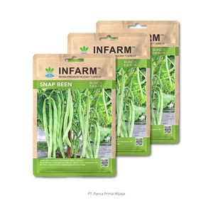 Semillas de Frijol de Alta Calidad |   Frijol Verde Premium de Cosecha Rápida, Alto Rendimiento 21 Toneladas/Ha, Fácil Cultivo, 40 Semillas/Paquete, 100% Natural - Product Image 3