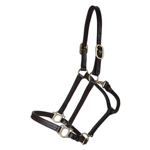 Licol en cuir de cheval équestre personnalisé licou avec rembourrages Softy Muserolle triple couture résistance lourde-Halters - Product Image 3