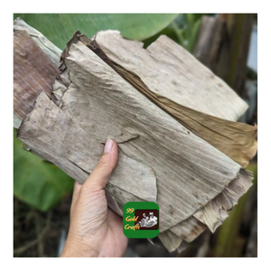 EXPORTATEUR DU VIETNAM FOURNISSANT DES FEUILLES DE BANANE SÉCHÉES NATURELLES POUR DES APPLICATIONS D'EMBALLAGE ET DE RESTAURANT - Product Image 6